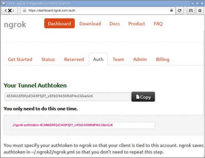 Ngrok Auth Page