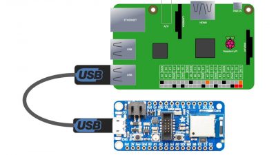 nRF52840 USB to Pi