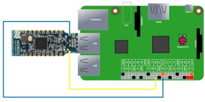 SWD Wiring