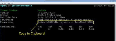 Ngrok Address